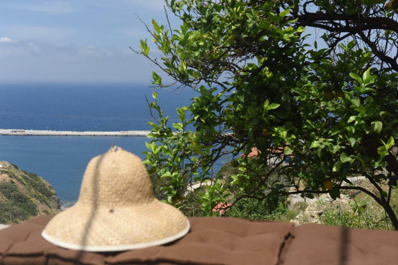 Mare Vista Βίλα Εύδηλος Εξωτερικό φωτογραφία